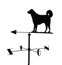 windwijzer met hond